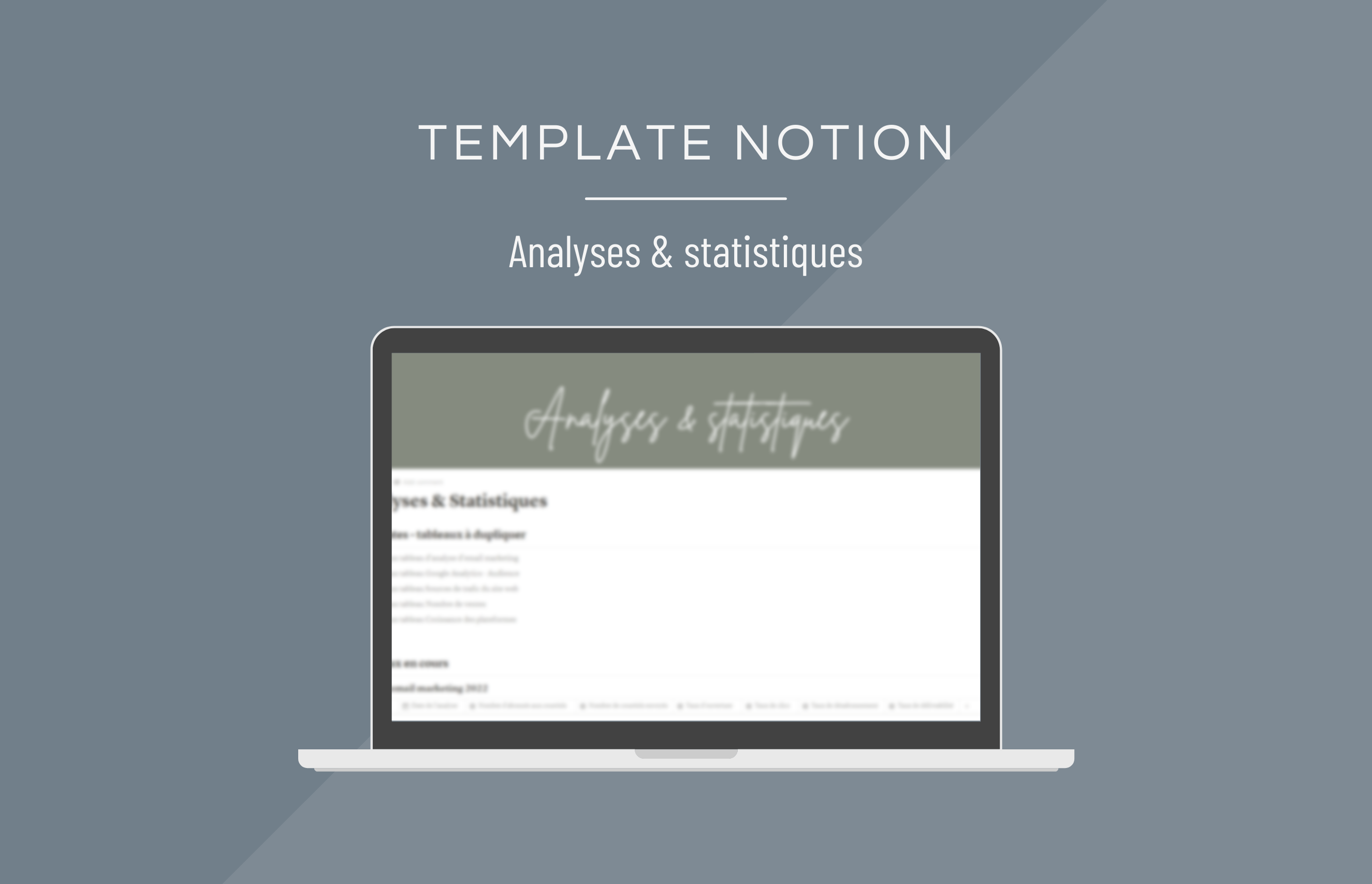 template_notion_analyses_statistiques