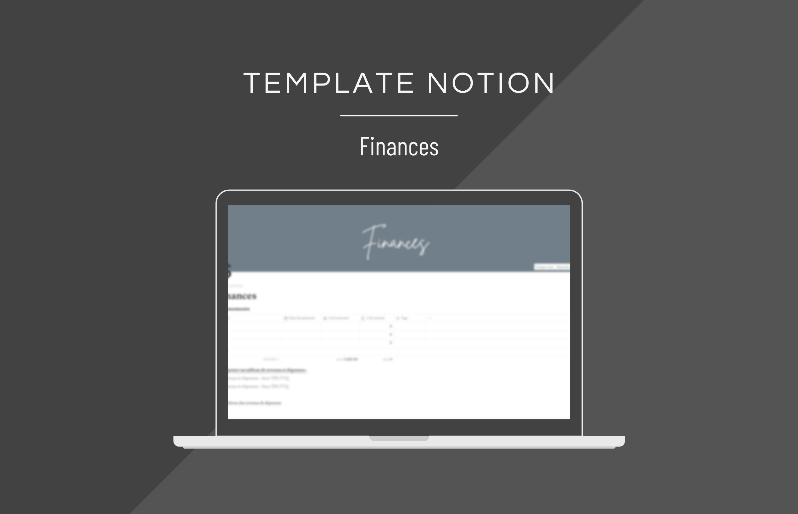 template_notion_finances
